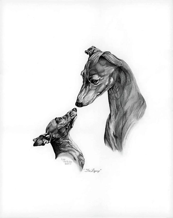 713x900 the legacy drawing - Partridge Drawing