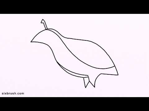 480x360 c how to draw cartoon partridge step - Partridge Drawing