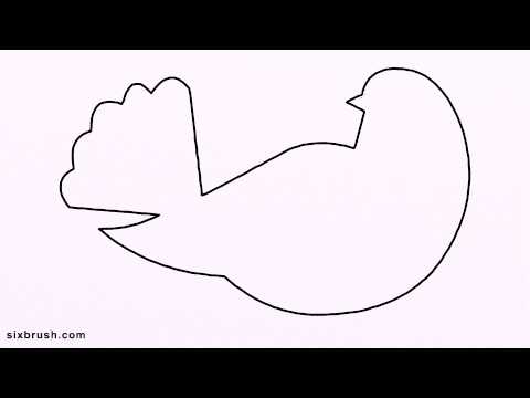 480x360 s how to draw partridge step - Partridge Drawing