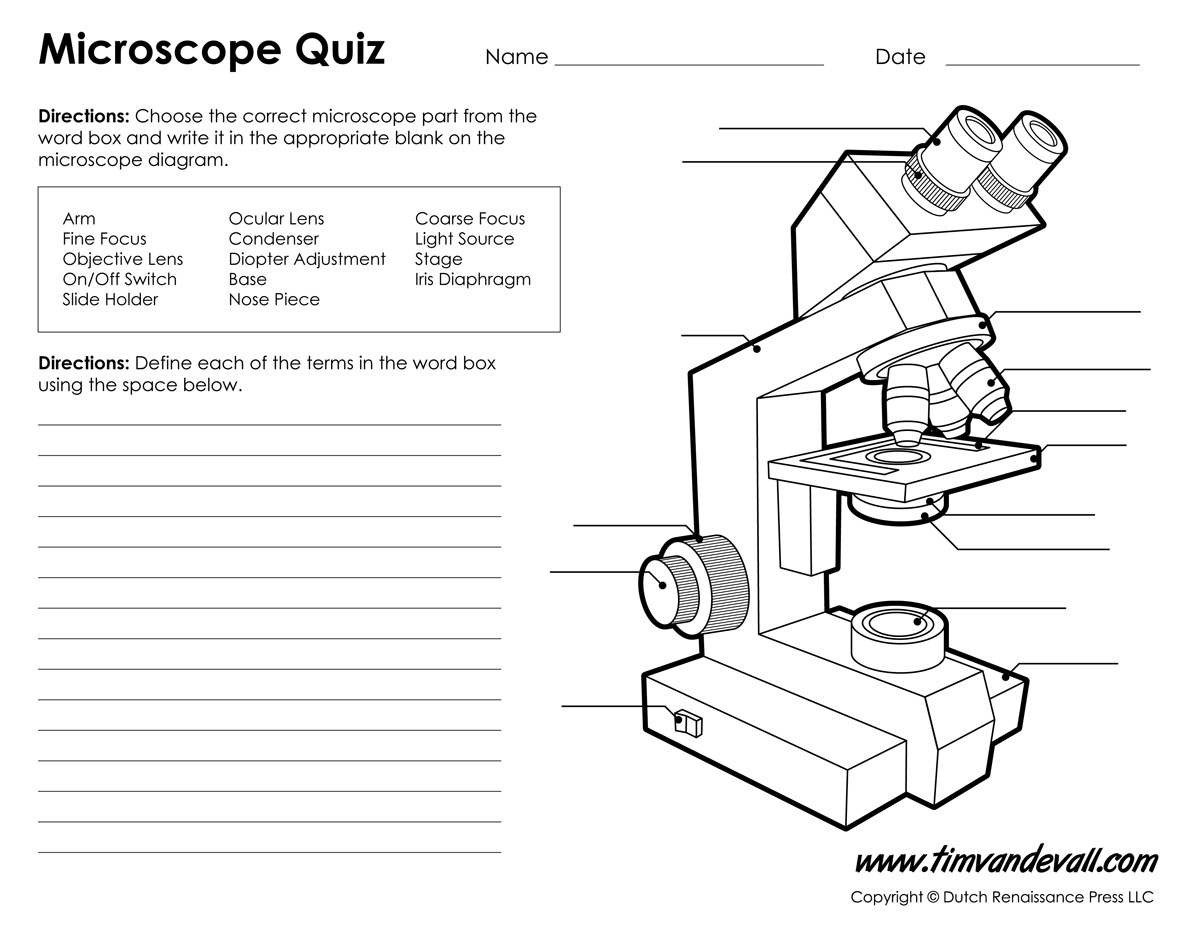 1200x927 microscope diagram labeled, unlabeled and blank parts - Parts Of A Microscope Drawing
