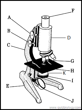 282x377 multiple choice quiz on compound microscope parts and functions - Parts Of A Microscope Drawing