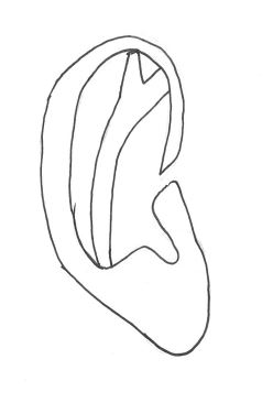 248x366 How Draw Ears And Place Them Correctly - Parts Of The Ear Drawing