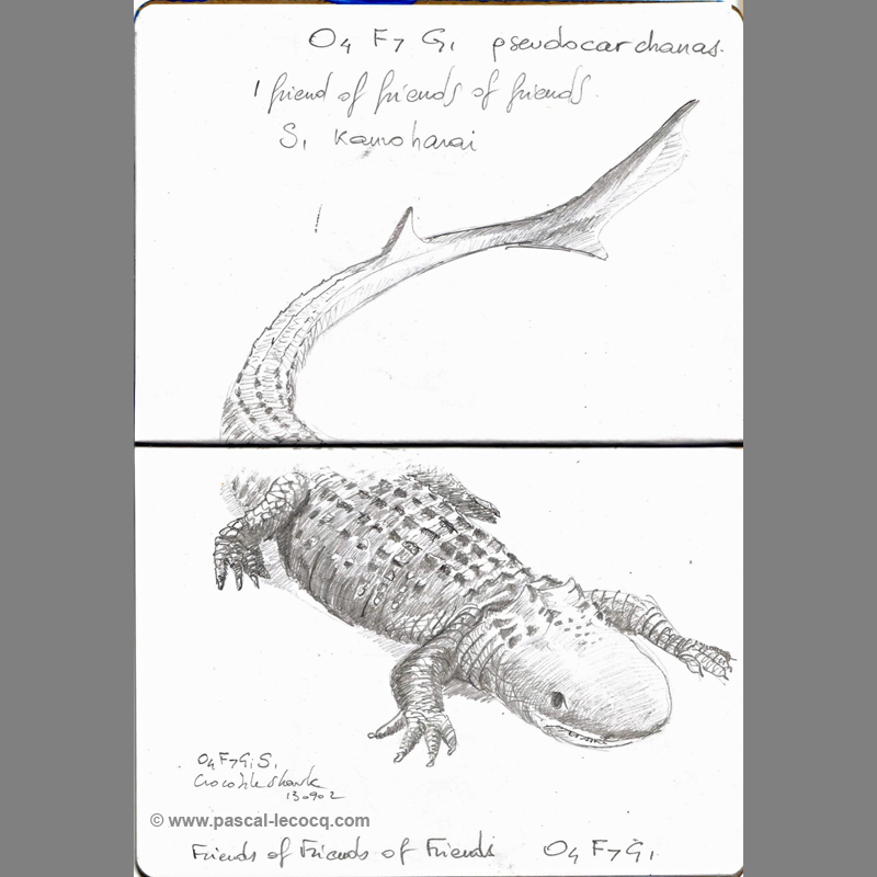 800x800 artwork - Pascal Drawing