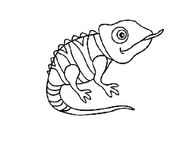 600x535 pascal tangled coloring pages drawing at getdrawings chameleon - Pascal Tangled Drawing