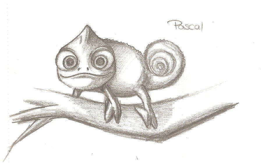 900x565 pascal - Pascal Tangled Drawing