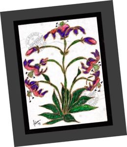 259x300 passion flower vines contemporary art surreal drawing - Passion Flower Drawing