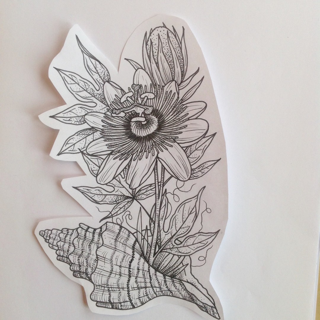 1080x1080 passion flower shell - Passion Flower Drawing