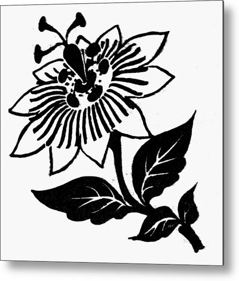 493x579 symbol passion flower metal print - Passion Flower Drawing