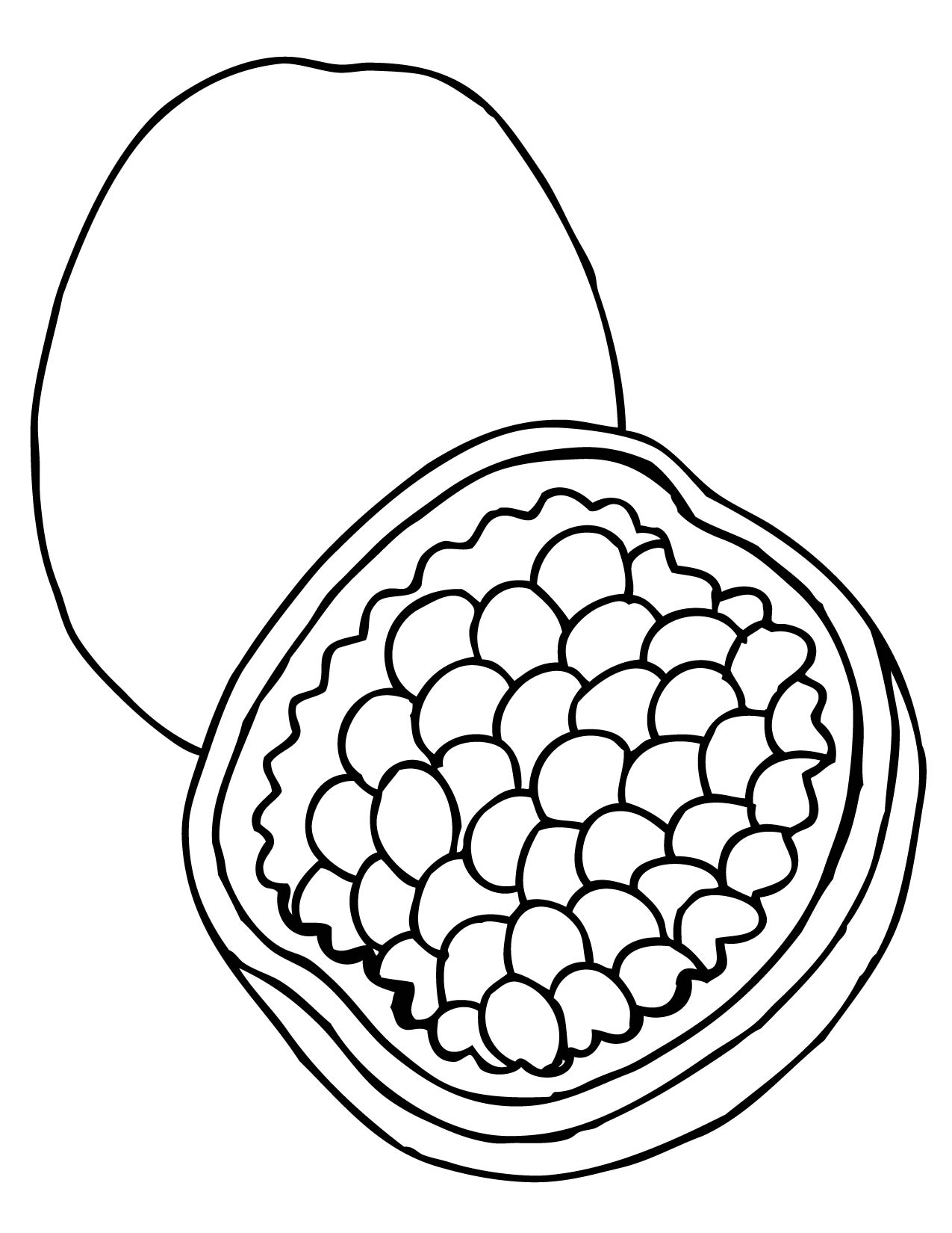 1275x1650 mouth watering passion fruit colouring pages - Passion Fruit Drawing