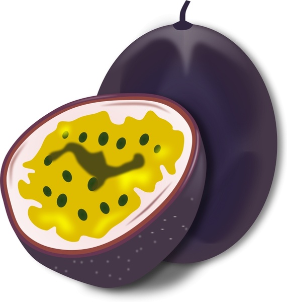571x600 passion fruit free vector in open office drawing - Passion Fruit Drawing