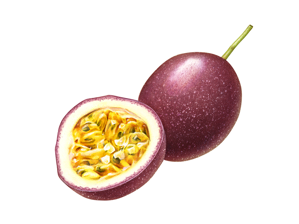 1014x760 passion fruit x fruttagel - Passion Fruit Drawing