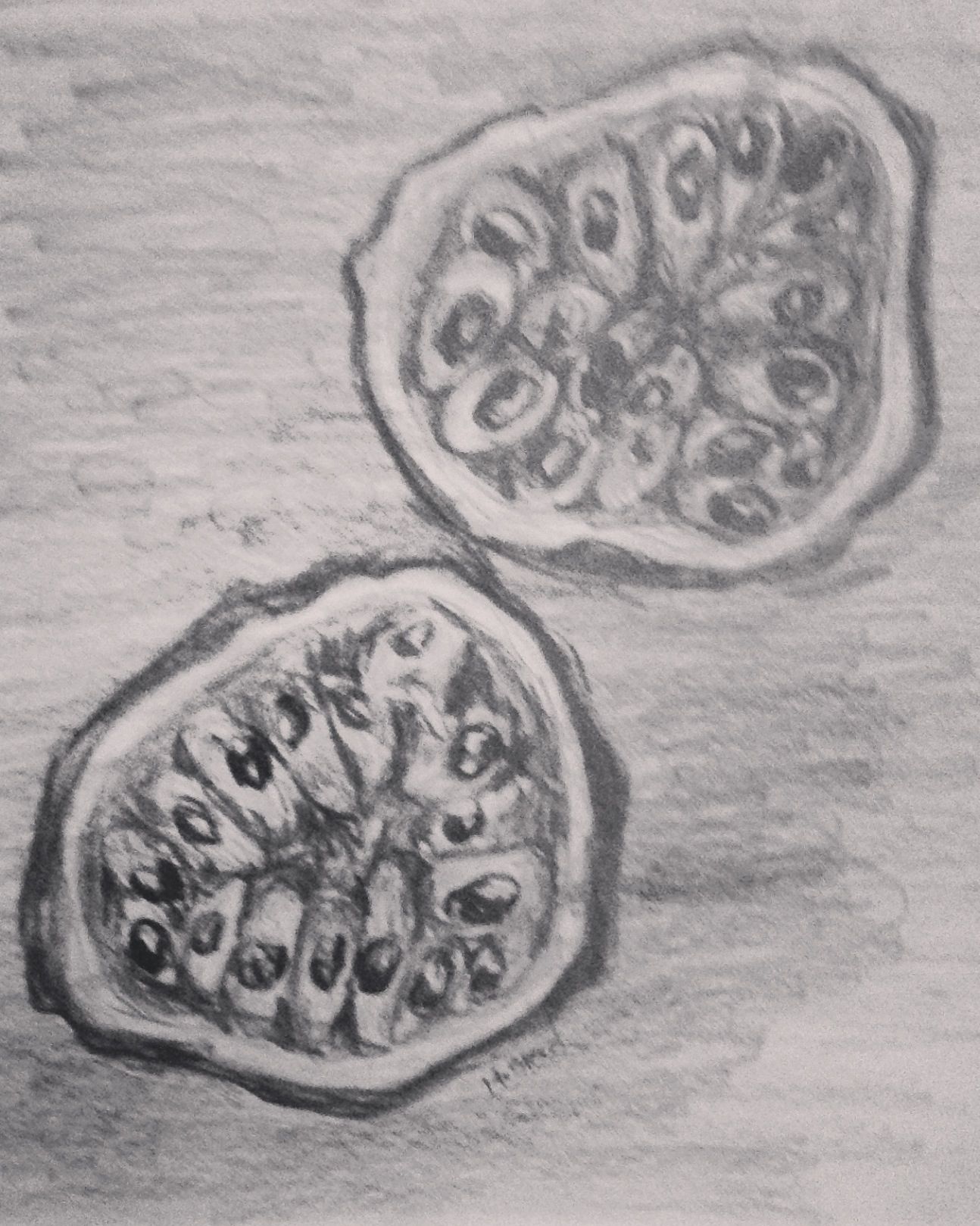 1294x1619 passion fruit drawing fruit drawings fruits - Passion Fruit Drawing