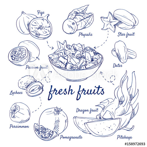 500x500 Doodle Set Of Fresh Fruits - Passion Fruit Drawing