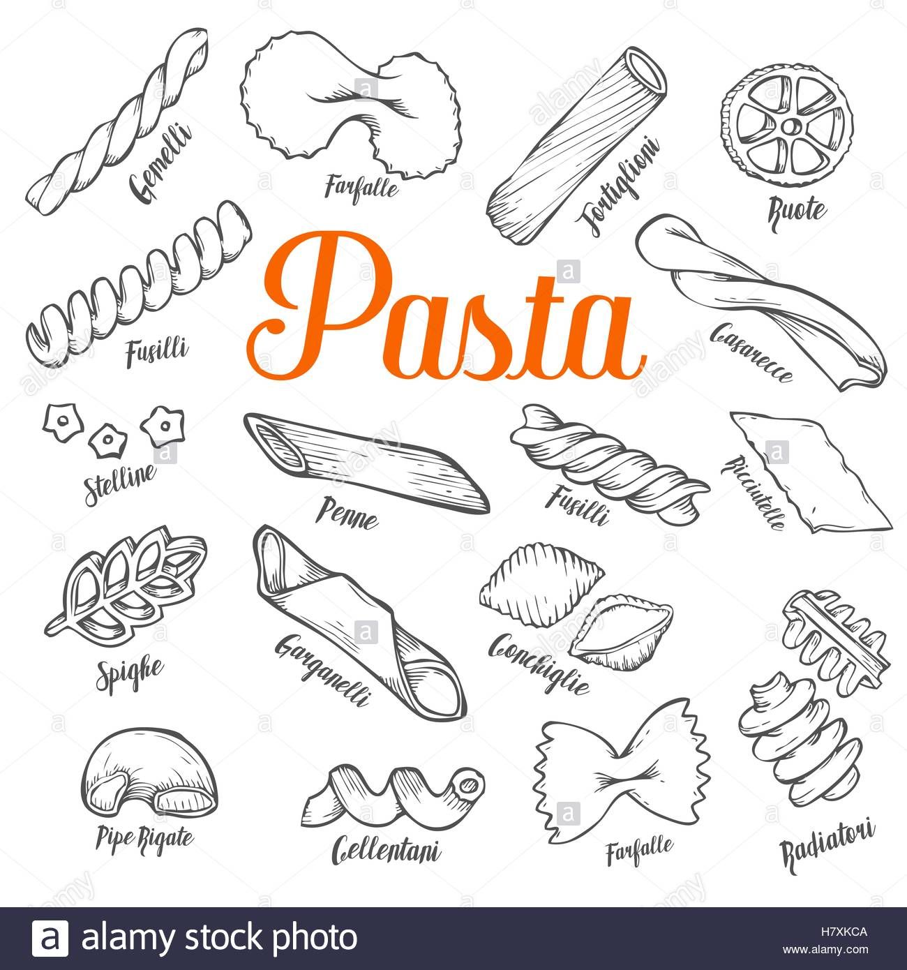 1300x1390 hand drawn italian pasta set collection of different types - Pasta Drawing