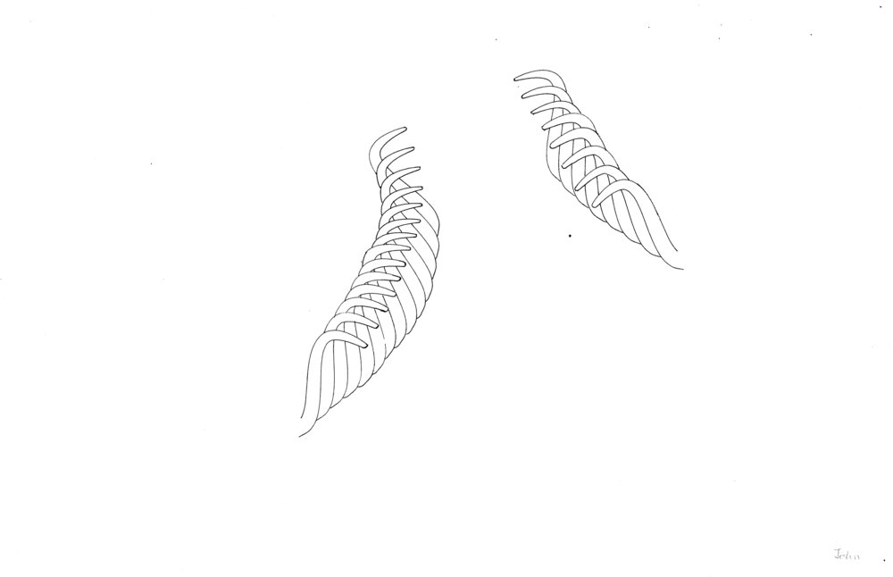 1000x646 pasta puzzle tu yunwen design - Pasta Drawing