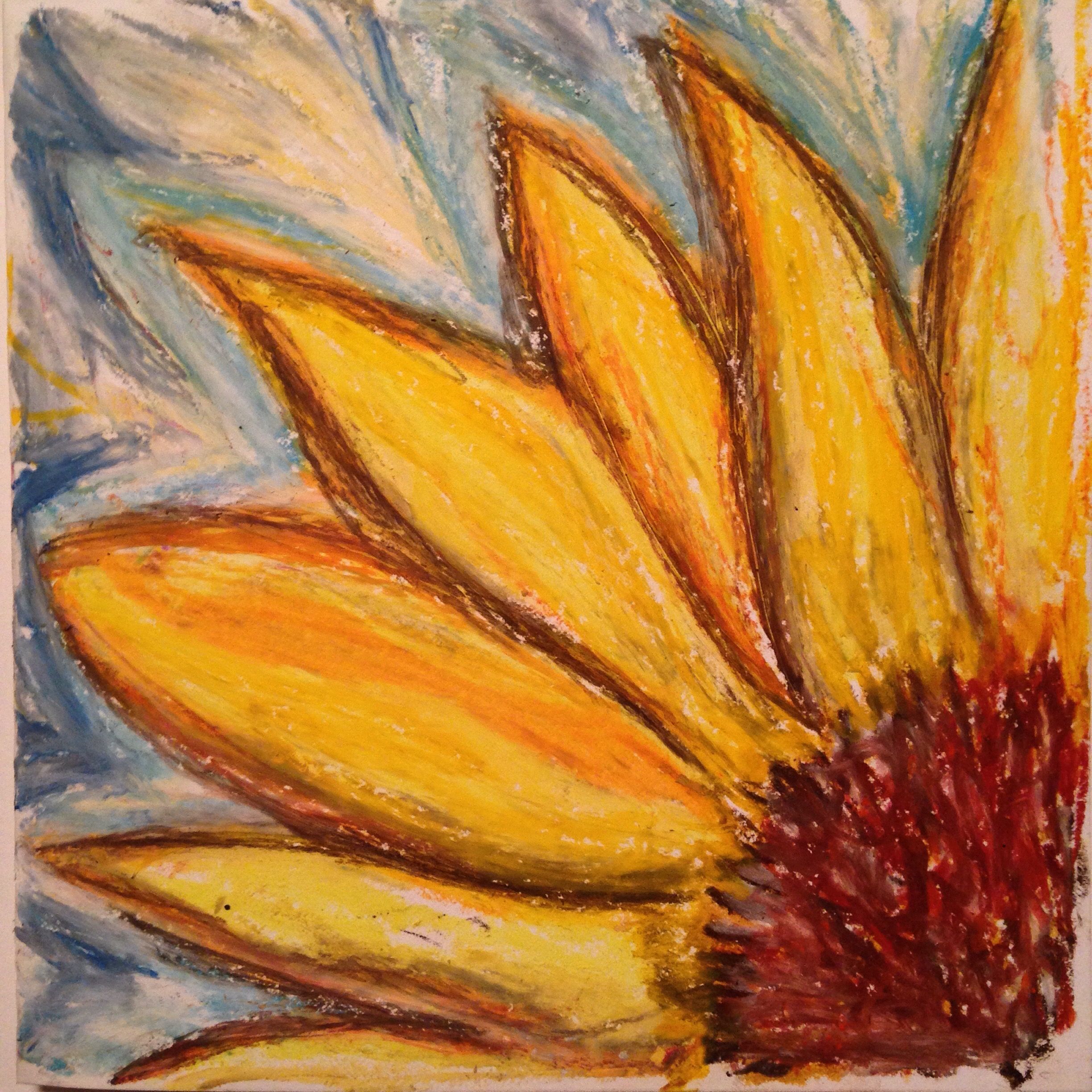 2448x2448 Sunflower - Pastel Drawing