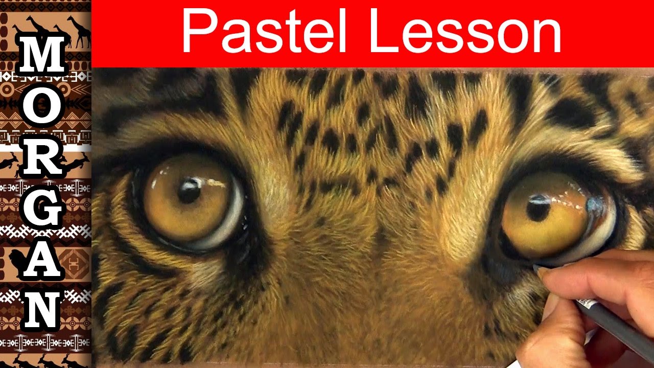 1280x720 pastel pencil drawing techniques, wildlife art tutorial - Pastel Pencil Drawing