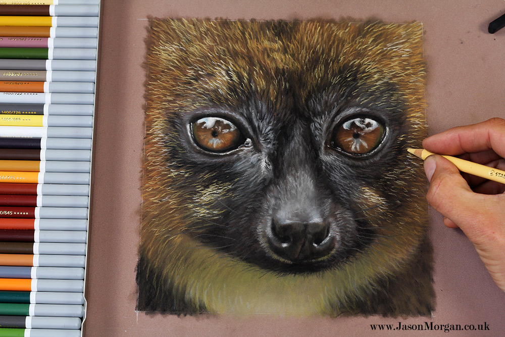 1000x667 pastel pencil techniques and tutorials how to draw and paint - Pastel Pencil Drawing