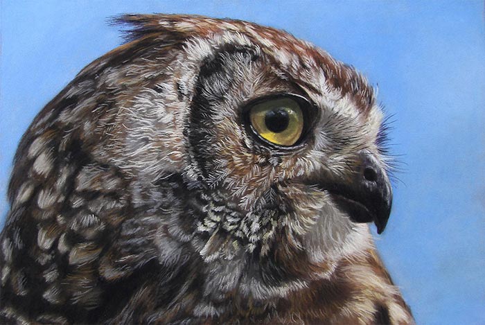 700x469 pastel pencil techniques owl - Pastel Pencil Drawing