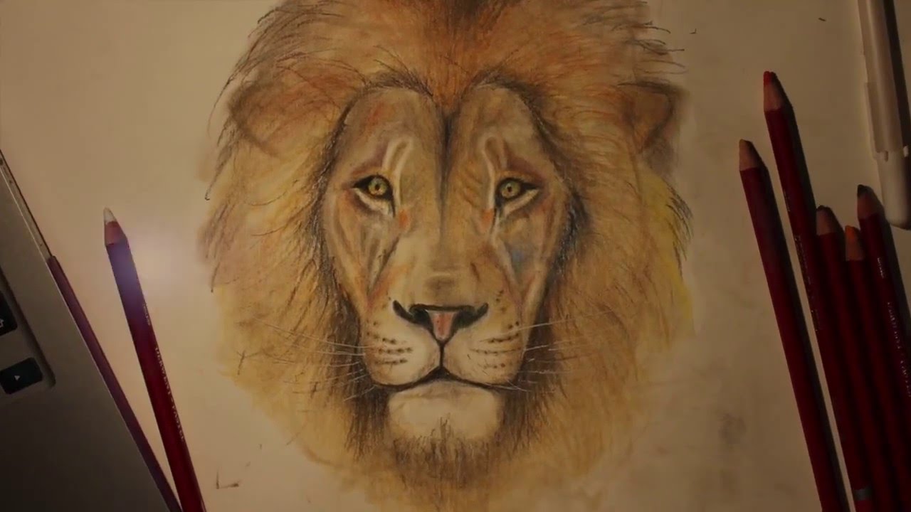 1280x720 time lapse of a lion pastel pencil drawing - Pastel Pencil Drawing