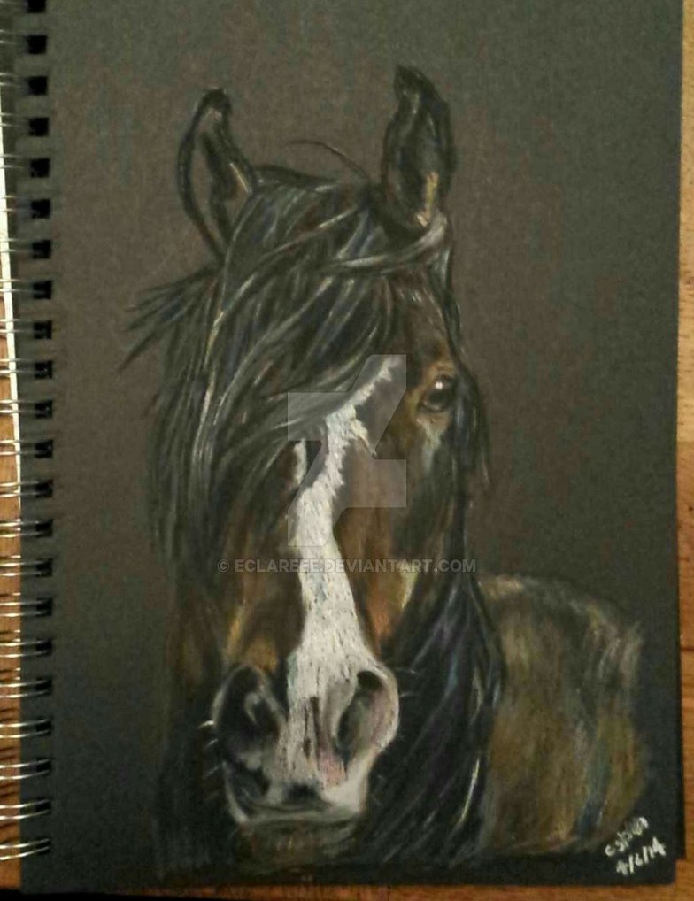 784x1018 Horse Pastel Pencil Drawing - Pastel Pencil Drawing