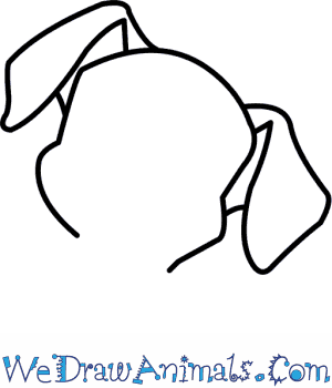 300x350 how to draw patch from dalmatians - Patch Drawing