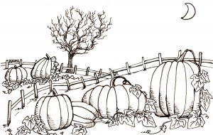 300x190 k pumpkin patch drawing - Patch Drawing