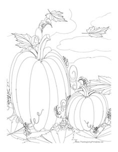 236x305 best pumpkin drawing images in pumpkin coloring pages - Patch Drawing