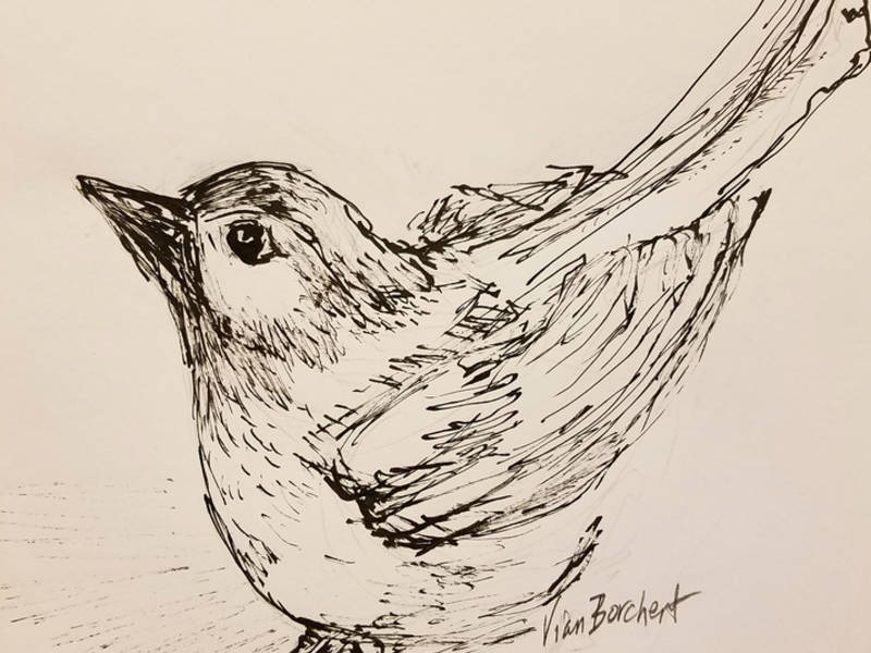 800x600 the basics of art is drawing washington dc, dc patch - Patch Drawing