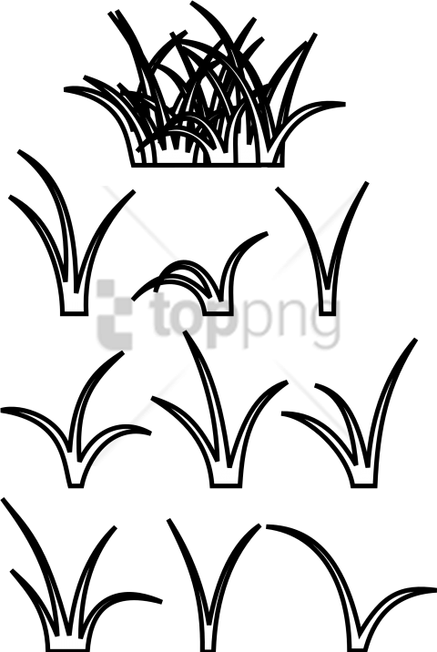 480x716 patch of grass drawing png image with transparent background toppng - Patch Drawing
