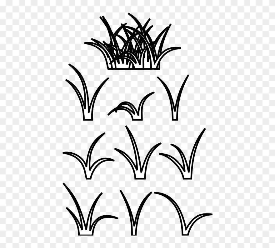 880x796 free png download patch of grass drawing png images clipart - Patch Drawing