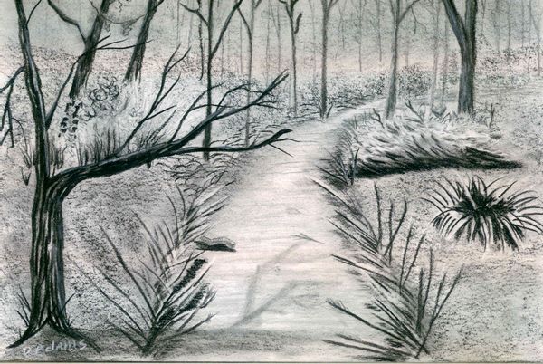 600x402 The Path Adamsart - Path Drawing