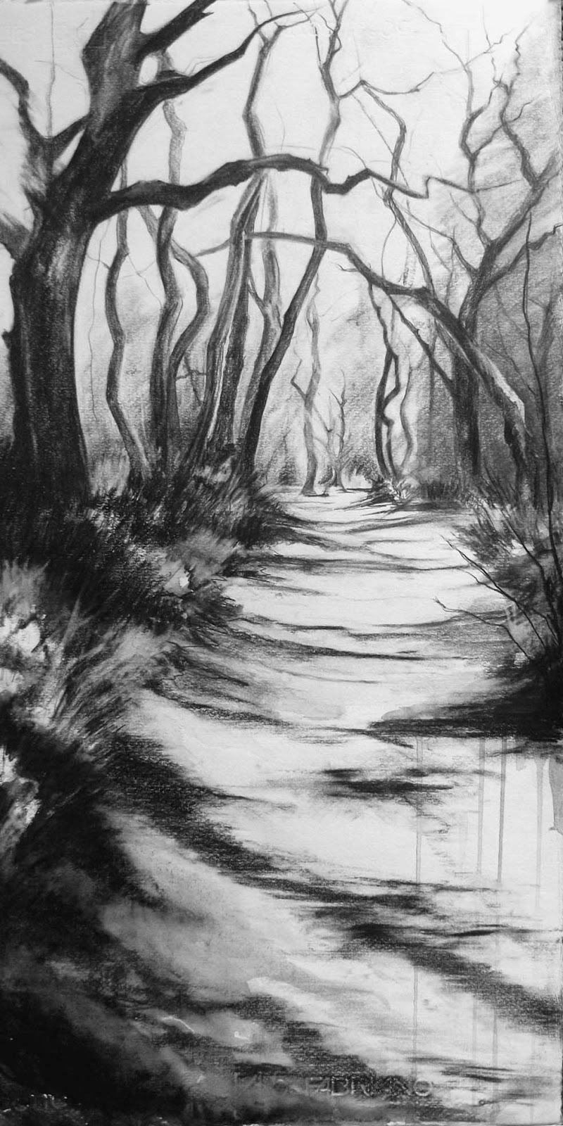800x1600 Wendy Rhodes - Path Drawing