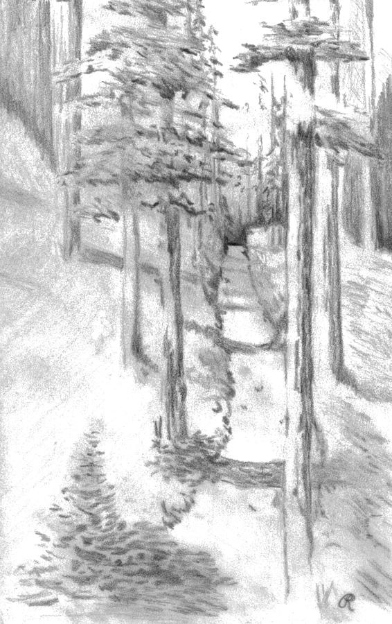 566x900 Wooded Pathway Drawing - Path Drawing