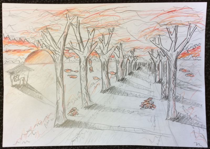 800x566 matariki workshop perspective drawing the never - Pathway Drawing