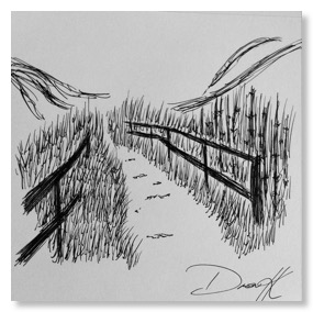 285x284 Pathways - Pathway Drawing