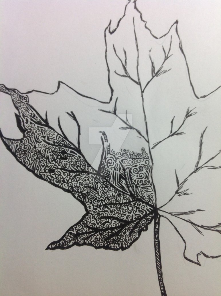 772x1034 Patience - Patience Drawing