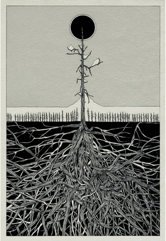 565x821 stuart patience drawing - Patience Drawing