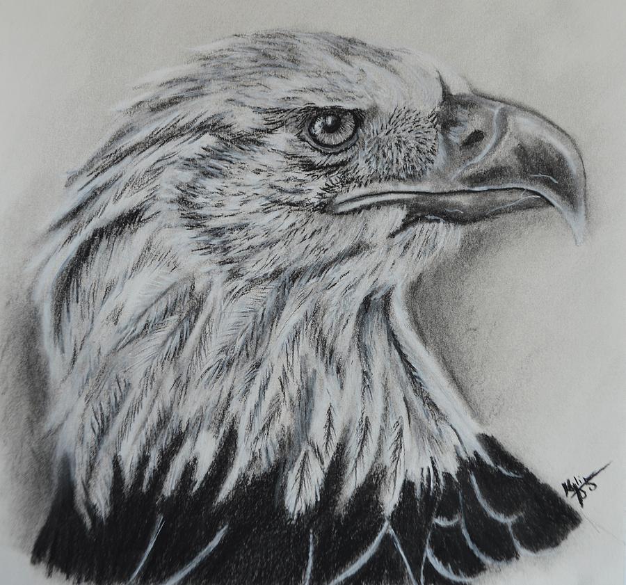 Patriotic Drawing at Explore collection of