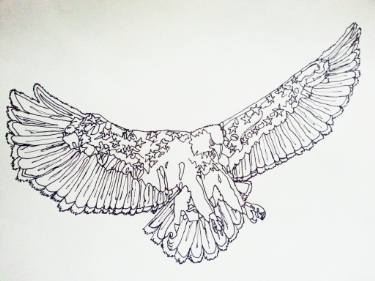 375x281 my american eagle drawing - Patriotism Drawing