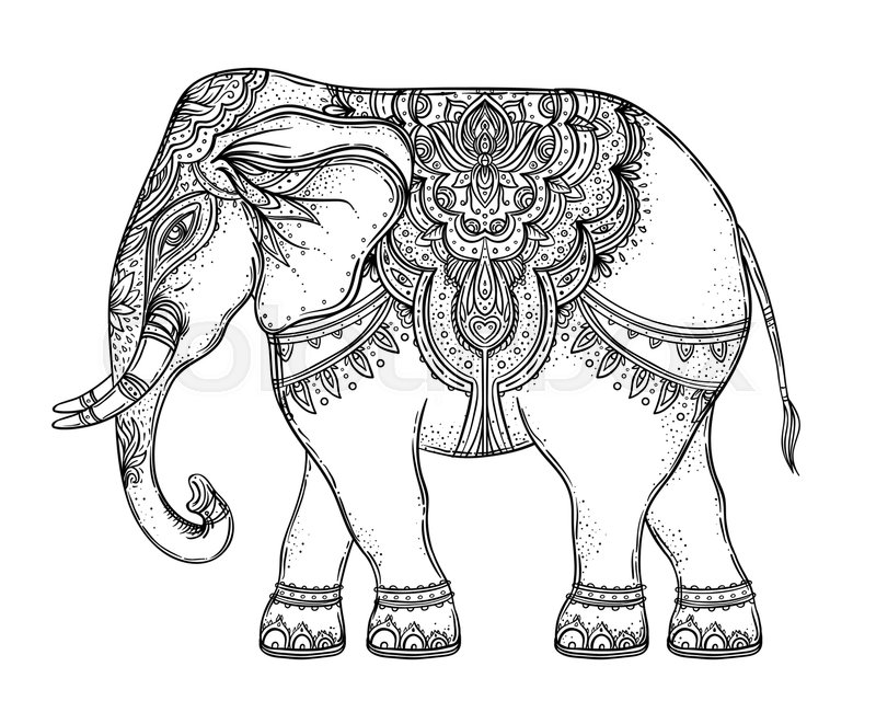 800x640 pattern elephant drawing - Pattern Elephant Drawing