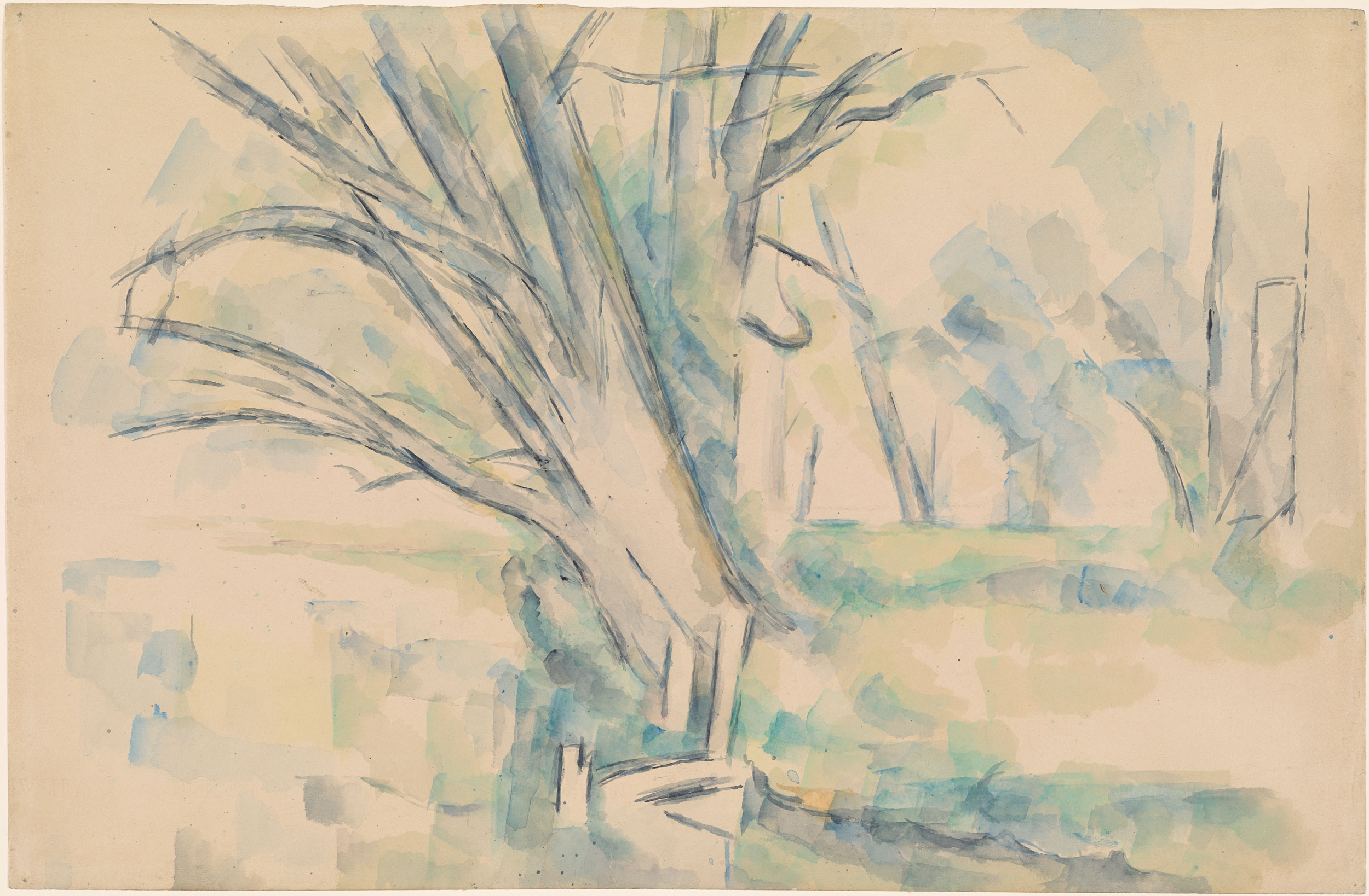 2500x1638 paul bare trees - Paul Cezanne Drawings