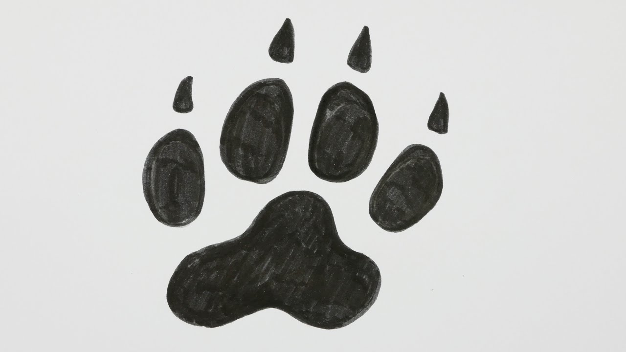1280x720 how to draw a dog footprint, dog paw - Paw Drawing