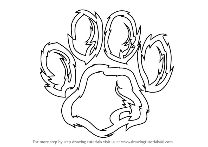 800x567 Learn How To Draw A Tiger Paw - Paw Drawing