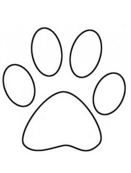 456x600 dog paw drawing - Paw Drawing