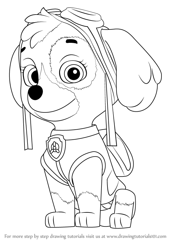 598x844 learn how to draw skye from paw patrol - Paw Patrol Drawing