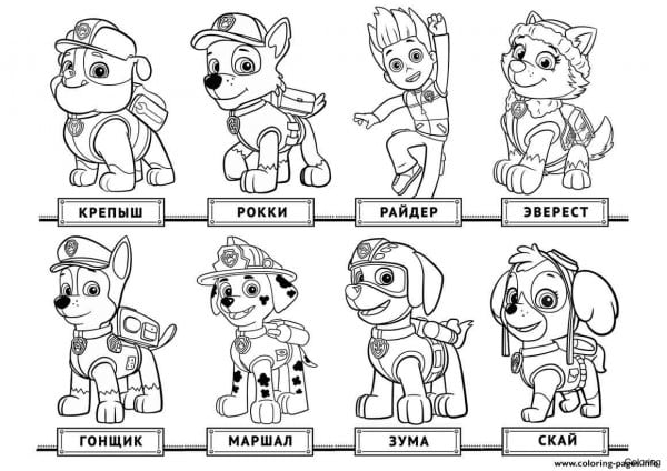 600x424 paw patrol drawing - Paw Patrol Drawing