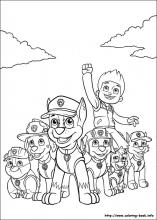 157x220 paw patrol coloring pages on coloring - Paw Patrol Drawing