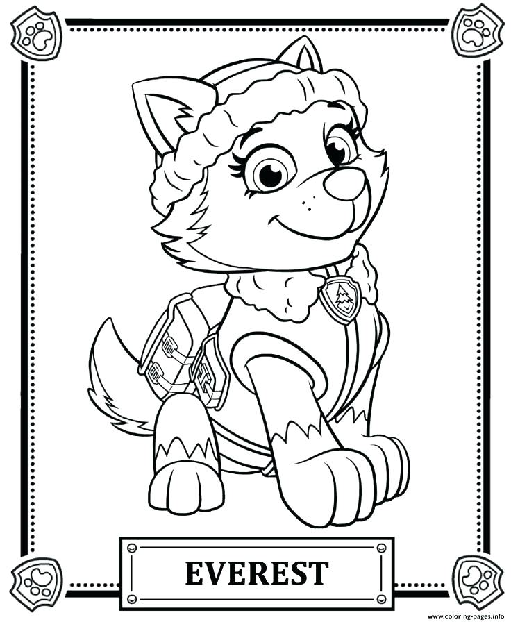 736x896 paw patrol coloring pages rubble - Paw Patrol Drawing Games