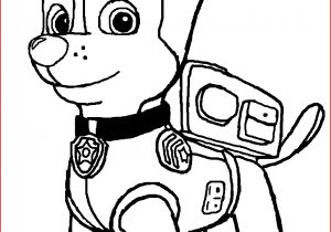 300x210 Paw Patrol Drawing Coloring Pages Drawing Game - Paw Patrol Drawing Games